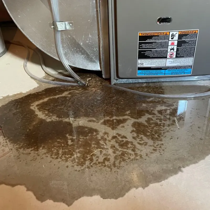 Pipe Burst and Leak Restoration in Red Cloud, NE