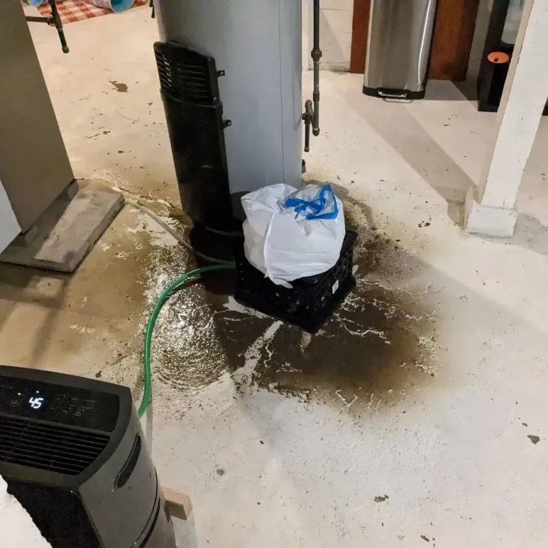 Sewage Backup Cleanup Service in Red Cloud, NE